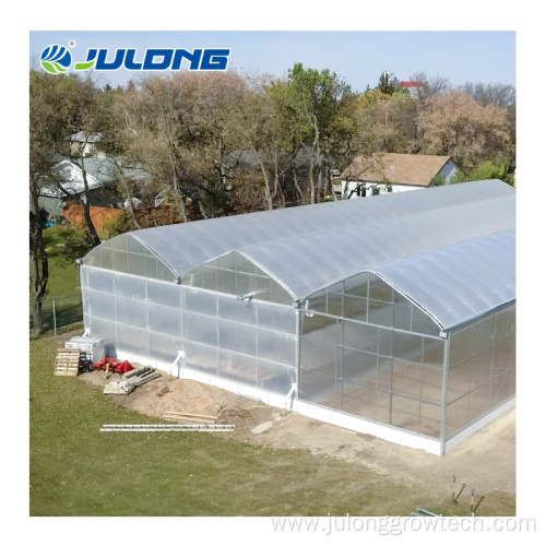 Farming Multi-Span Greenhouse For Tomato lettuce strawberry